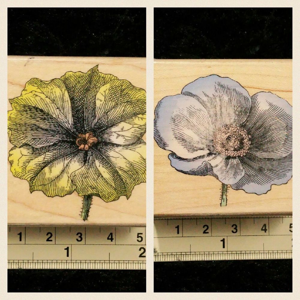 Flower Rubber Stamps Poetic Petals Two & Four